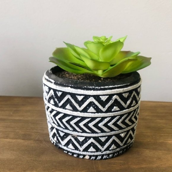 Faux succulents 3 - Picture 5 of 5